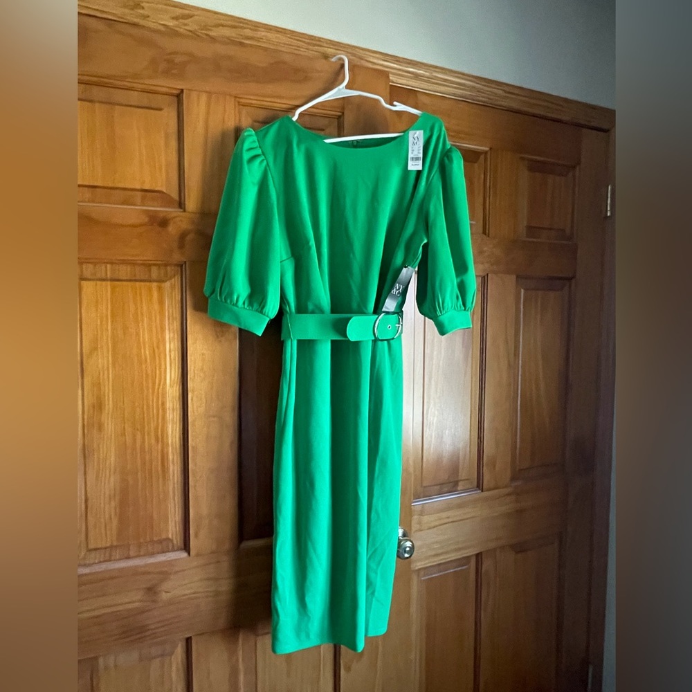 NWT New York & Co Green Belt Dress